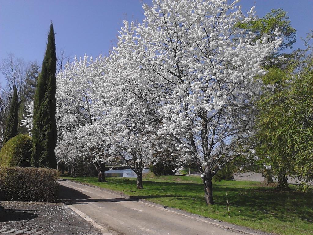 Chateau Du Bourbet Cherval Εξωτερικό φωτογραφία